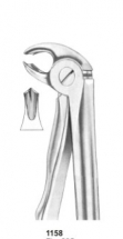  Fig. 22S lower molars for children 